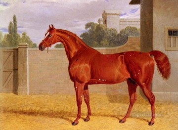  Juan Lienzo - Comus Herring Snr John Frederick caballo